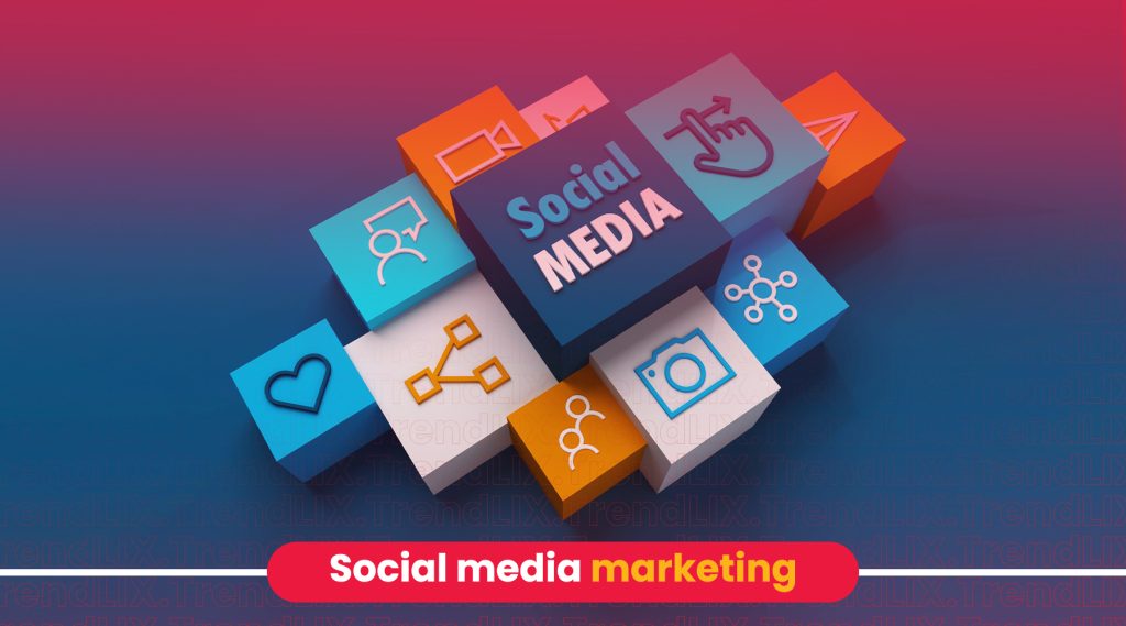 social media marketing agency in Egypt